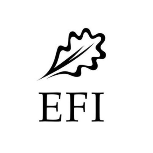 EFI
